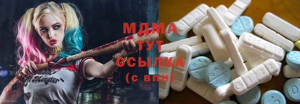 индика Богородск