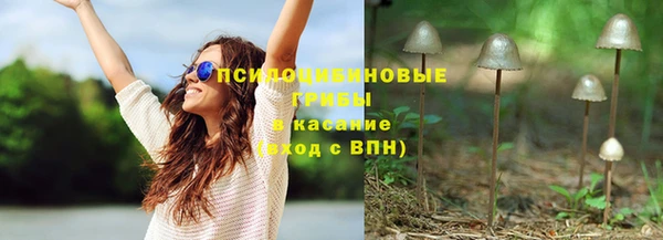 a pvp Богданович