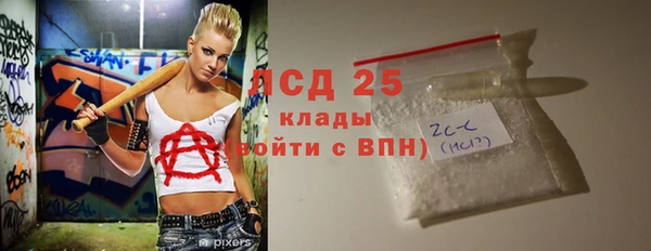 индика Сатка