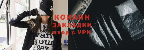 индика Богородск