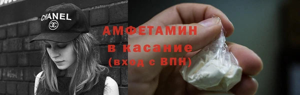 индика Богородск