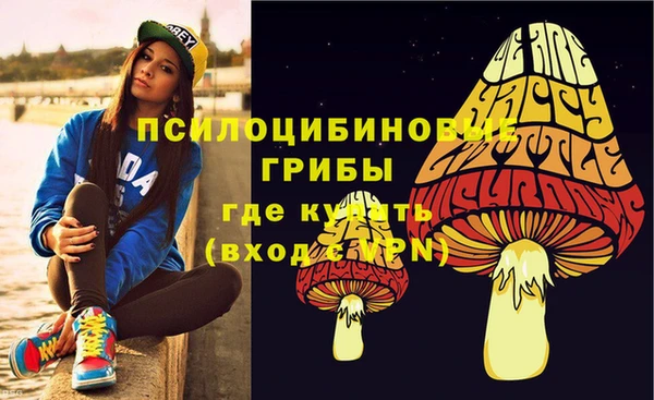 стаф Верхний Тагил