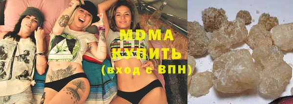 индика Богородск