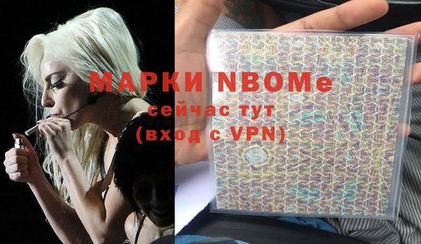 индика Богородск