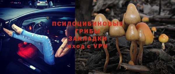индика Богородск